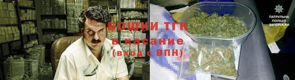 ПСИЛОЦИБИНОВЫЕ ГРИБЫ Елабуга