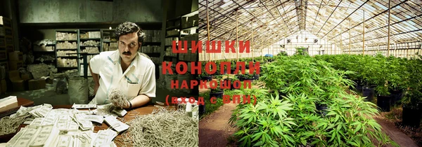 ПСИЛОЦИБИНОВЫЕ ГРИБЫ Елабуга