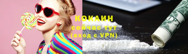 шишки Елизово