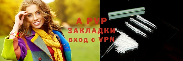 прущие крисы Ельня