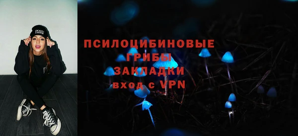 ПСИЛОЦИБИНОВЫЕ ГРИБЫ Елабуга