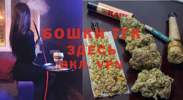 прущие крисы Ельня
