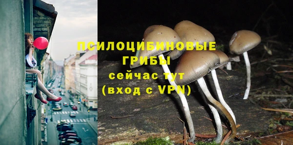 прущие крисы Ельня