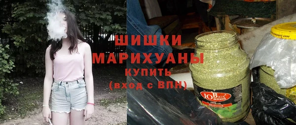 прущие крисы Ельня