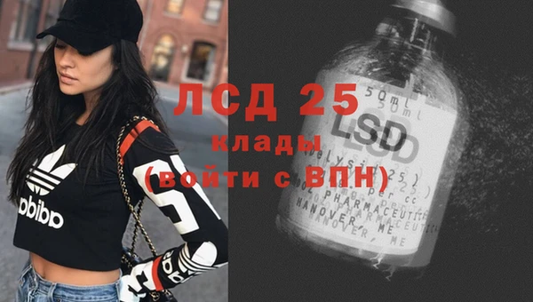 прущие крисы Ельня