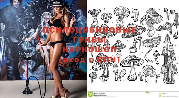 ПСИЛОЦИБИНОВЫЕ ГРИБЫ Елабуга