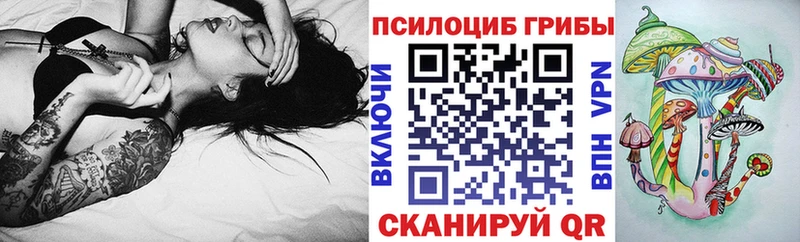 Галлюциногенные грибы Psilocybe  Купить где  Короча 